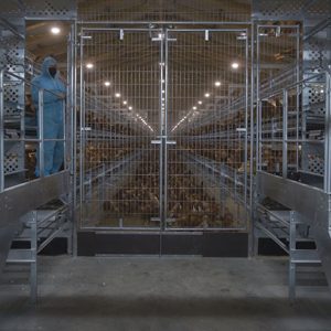 Loggia-Video-1-40